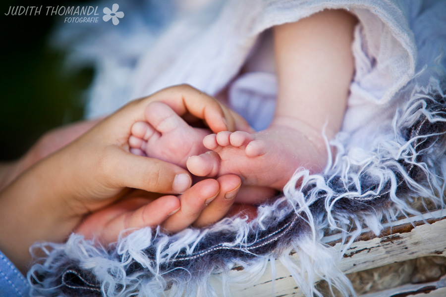 _mg_1569 _mg_1569