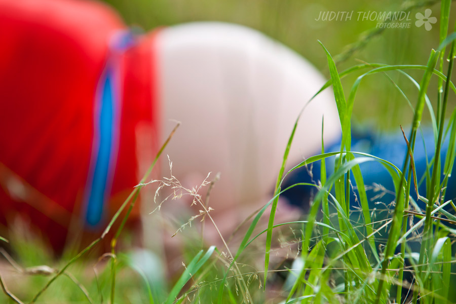 _mg_2127 _mg_2127