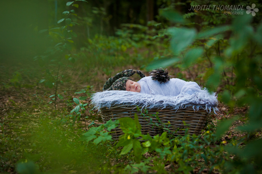 _mg_3989 _mg_3989