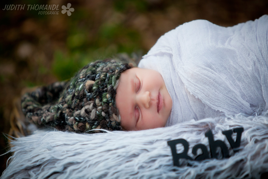 _mg_4008 _mg_4008